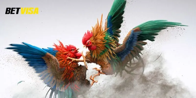 Giới thiệu về đá gà Thomo