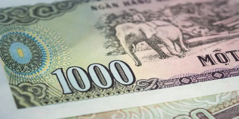 Chiêm bao thấy nhặt được rất nhiều tiền 