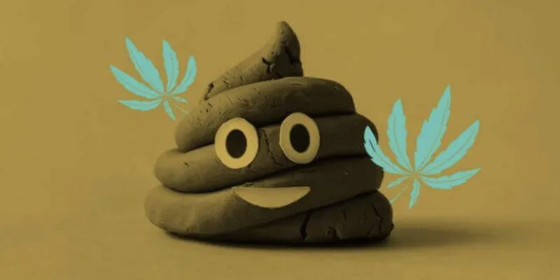 Giải mã giấc mơ thấy phân