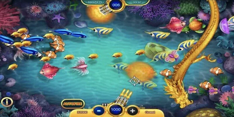 Nhiều sinh vật biển mới lạ đặc sắc