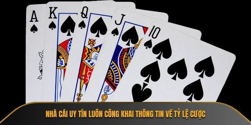 Nhà cái uy tín luôn công khai thông tin về tỷ lệ cược