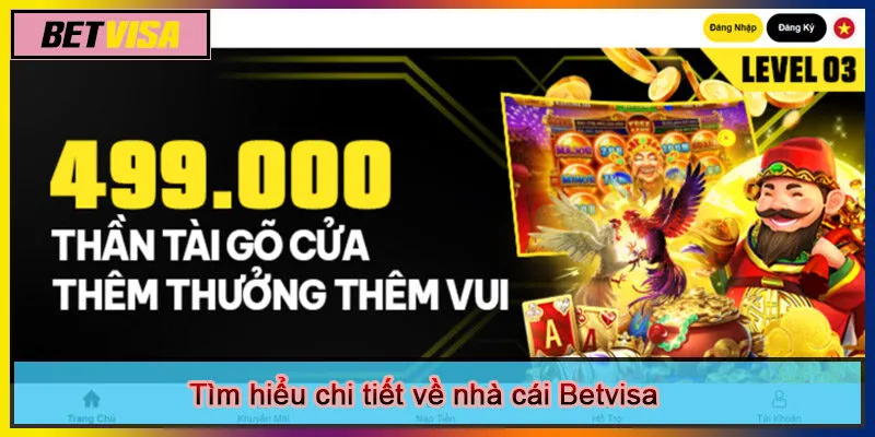 Tìm hiểu chi tiết về nhà cái Betvisa